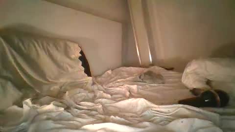 Snapshot of godonsin chatting on December 17, 7:50 am godonsin online show from December 17, 7:50 am