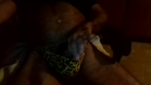 gojo885 online show from January 13, 3:23 am