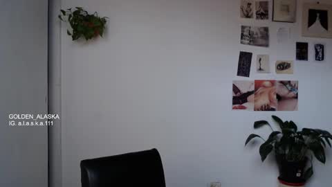 Snapshot of golden_alaska chatting on October 8, 1:20 pm Alaska online show from October 8, 1:20 pm