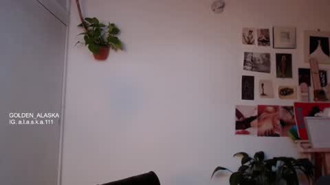 Snapshot of golden_alaska chatting on October 20, 11:21 am Alaska online show from October 20, 11:21 am