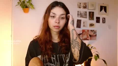 Snapshot of golden_alaska chatting on October 29, 11:56 am Alaska online show from October 29, 11:56 am