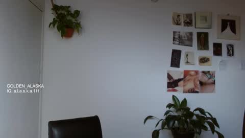 Snapshot of golden_alaska chatting on November 9, 8:07 pm Alaska online show from November 9, 8:07 pm