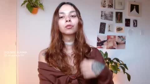 Snapshot of golden_alaska chatting on November 11, 11:54 am Alaska online show from November 11, 11:54 am