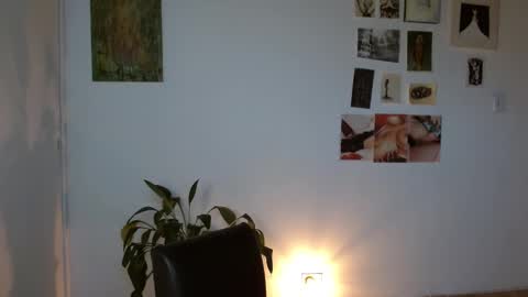 Alaska online show from February 1, 12:15 pm