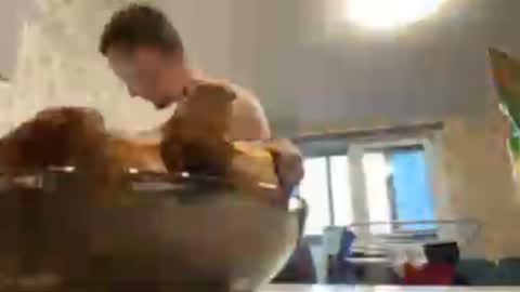 Snapshot of golden_boyyy21 chatting on January 25, 11:55 am Golden boyyy21 online show from January 25, 11:55 am