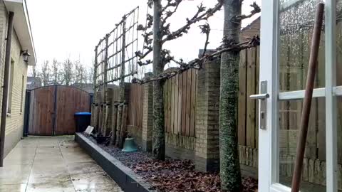 Snapshot of goldenelixxxir chatting on December 23, 12:41 pm online show from December 23, 12:41 pm