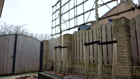 Snapshot of goldenelixxxir chatting on February 10, 10:09 am online show from February 10, 10:09 am