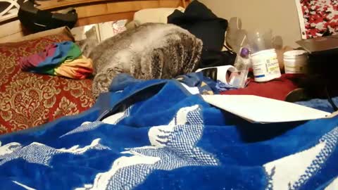 Juicy Booty online show from December 28, 3:59 pm