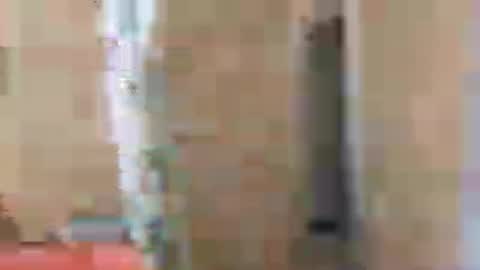 Snapshot of gordito_xx chatting on July 28, 9:14 pm gordito_xx online show from July 28, 9:14 pm