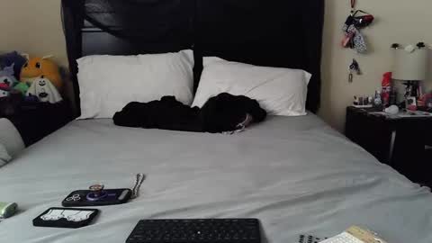 Snapshot of gothbaby305 chatting on October 29, 1:46 pm gothbaby305 online show from October 29, 1:46 pm