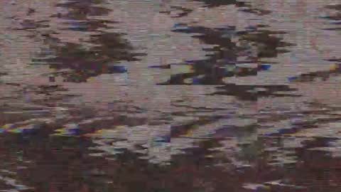        online show from May 21, 4:41 am