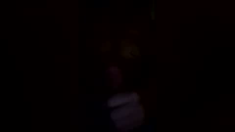 Snapshot of gp4201 chatting on March 15, 1:17 pm gp4201 online show from March 15, 1:17 pm