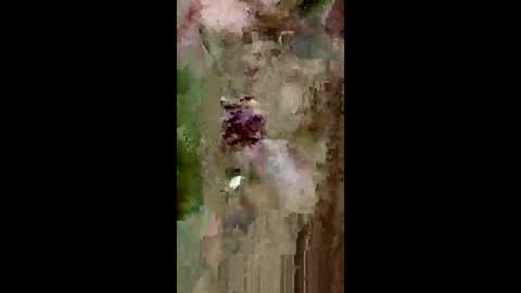 Snapshot of grabisz30 chatting on May 11, 3:29 pm grabisz30 online show from May 11, 3:29 pm