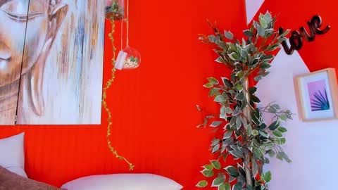 grace online show from February 20, 10:37 pm