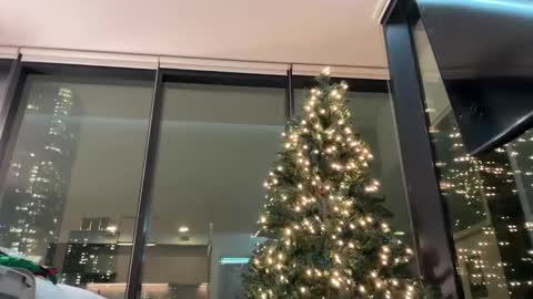 Snapshot of graciemae_baexx chatting on December 3, 11:36 pm Gracie Mae online show from December 3, 11:36 pm