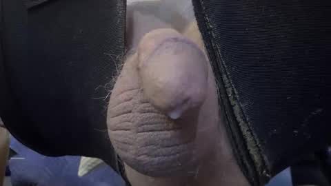 electrogee1 online show from February 19, 12:28 am