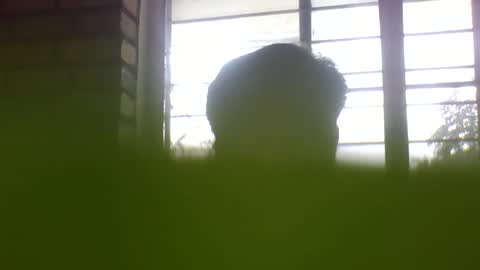 Grey Stud online show from January 7, 5:33 am