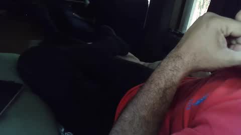 Grey Stud online show from December 3, 5:59 am