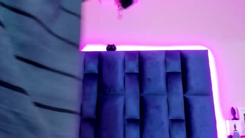 Grisha online show from February 16, 12:12 pm