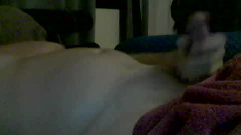 Snapshot of grittslappa chatting on June 13, 4:49 pm grittslappa online show from June 13, 4:49 pm