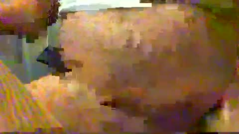 Snapshot of gtnolder60 chatting on December 15, 4:29 am Gary online show from December 15, 4:29 am