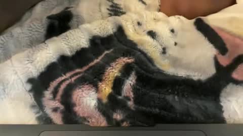 gumbywanna online show from May 4, 6:31 am