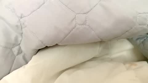 guttybeton online show from April 27, 7:17 am