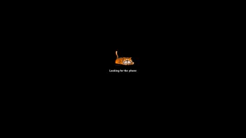 hacigonzales online show from February 22, 11:58 pm