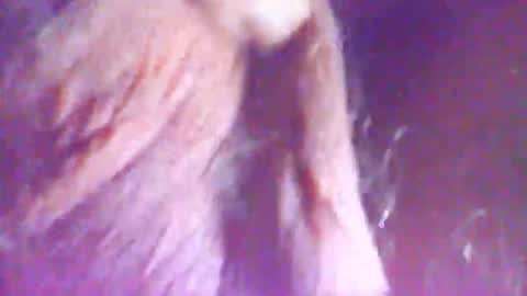 Snapshot of hagridthehorrible chatting on December 5, 11:30 am hagridthehorrible online show from December 5, 11:30 am