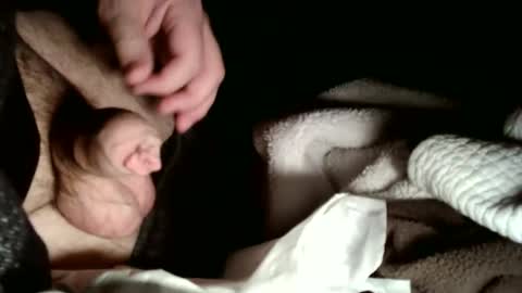 share9 online show from February 2, 3:05 am