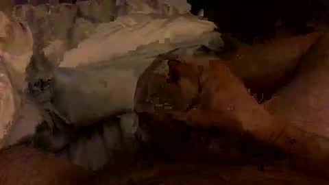 Bruce online show from February 4, 3:45 am