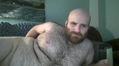 Snapshot of hairiestbear chatting on January 14, 3:47 pm Hairiest Bear online show from January 14, 3:47 pm