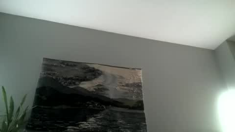 Hairiest Bear online show from November 15, 8:00 am