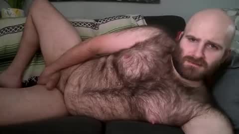 Hairiest Bear online show from February 6, 6:55 pm