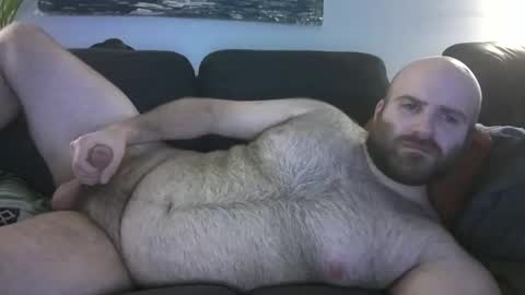 Hairiest Bear online show from March 8, 4:38 am
