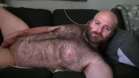 Hairiest Bear online show from June 1, 2:41 pm