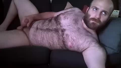 Hairiest Bear online show from June 9, 7:36 pm