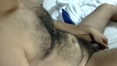 Snapshot of hairy_har chatting on April 9, 2:22 am hairy online show from April 9, 2:22 am