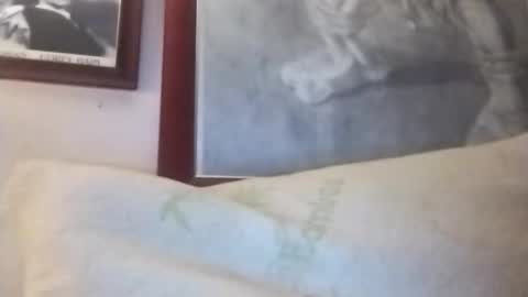 Marty online show from January 13, 1:33 am