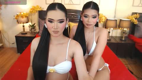 YOUR SIDECHIC HAILEY online show from October 8, 8:23 am