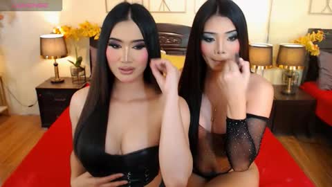 YOUR SIDECHIC HAILEY online show from October 10, 8:13 am