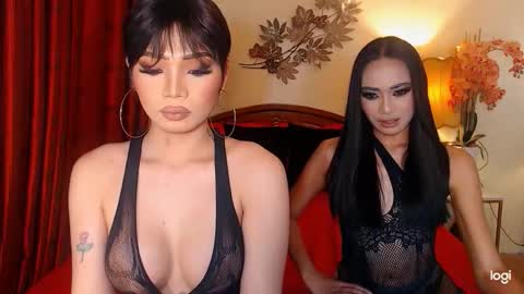 YOUR SIDECHIC HAILEY online show from February 6, 9:12 am