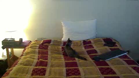 hammerthatthang73 online show from October 16, 6:53 pm