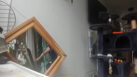 handncocknocum online show from February 8, 9:24 am