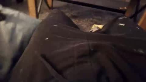 Snapshot of handylong88 chatting on November 19, 5:51 am handylong88 online show from November 19, 5:51 am