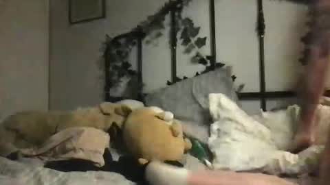 Snapshot of hani__moon_ chatting on November 13, 6:01 am hani__moon_ online show from November 13, 6:01 am