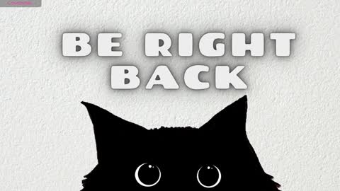 Hanna online show from February 4, 12:08 am