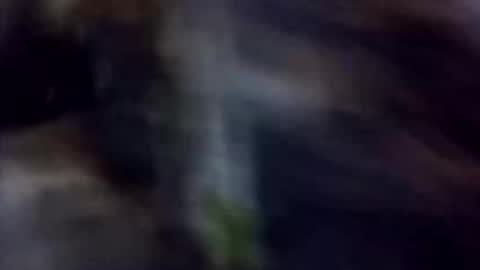 Snapshot of happydick69a chatting on October 2, 1:29 pm happydick69a online show from October 2, 1:29 pm