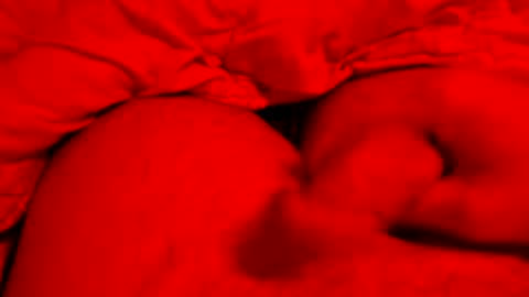 Small things matters online show from March 8, 6:12 pm