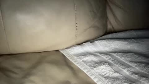 Snapshot of hardcock2622 chatting on December 10, 9:12 am Slim West Cox online show from December 10, 9:12 am